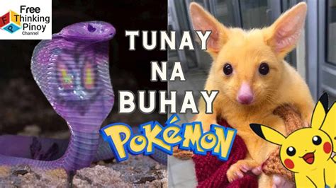 Ang mga MYTHICAL POKEMON .